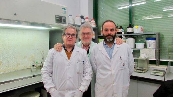 Investigadores de la UCO buscan nuevas estrategias para proteger el cultivo de la fresa en el Mediterráneo
